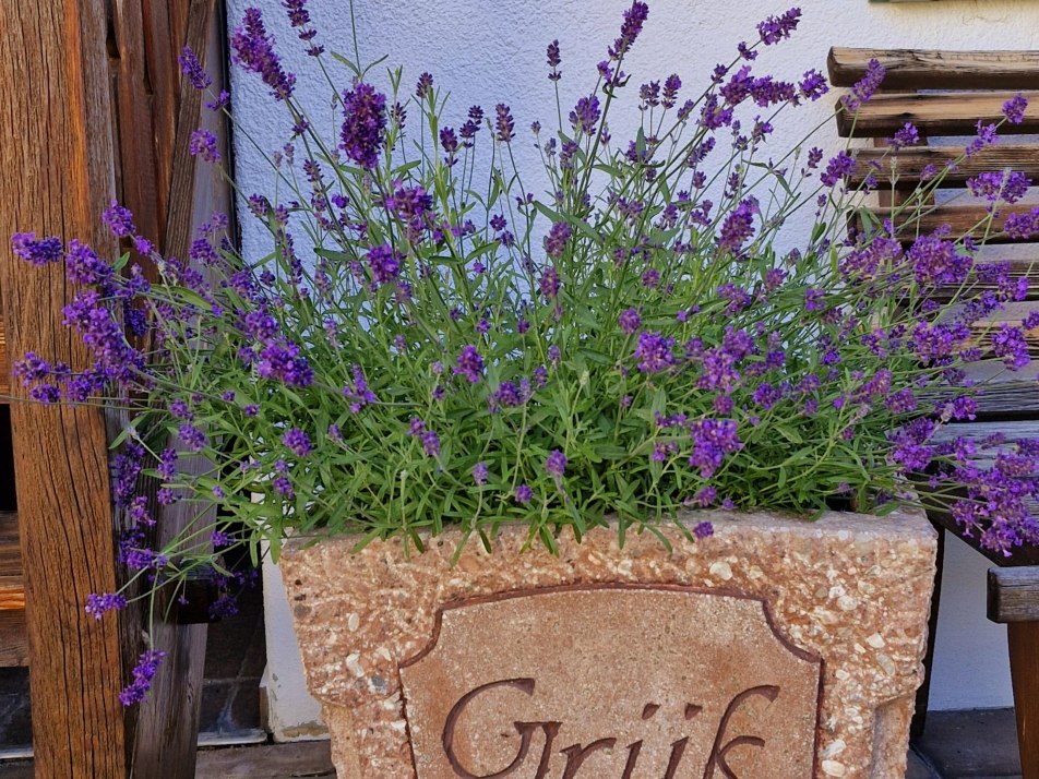 einladende Blumendekoration/ neben der Treppe