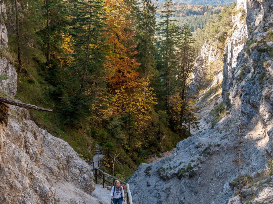 Durch die Hüttlebachklamm, © Alpenwelt Karwendel | bayern.by_Gregor Lengler Durch die Hüttlebachklamm, © Alpenwelt Karwendel | bayern.by_Gregor Lengler
