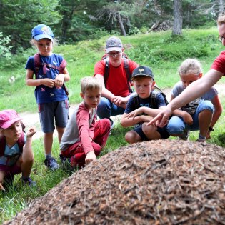 Erlebnisse die bleiben beim Kinder- und Famlienprogramm. Der zauberhafte Buchenwald bietet Natur & Spaß!, © Alpenwelt Karwendel | Angelika Warmuth