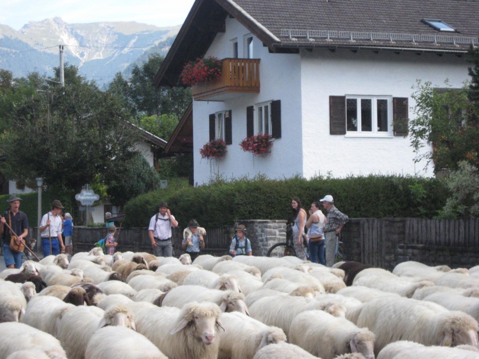 Almabtrieb (2)