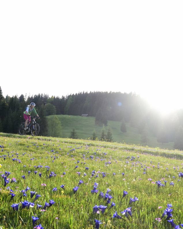 Biken im Frühling, © Alpenwelt Karwendel | Stefan Eisend