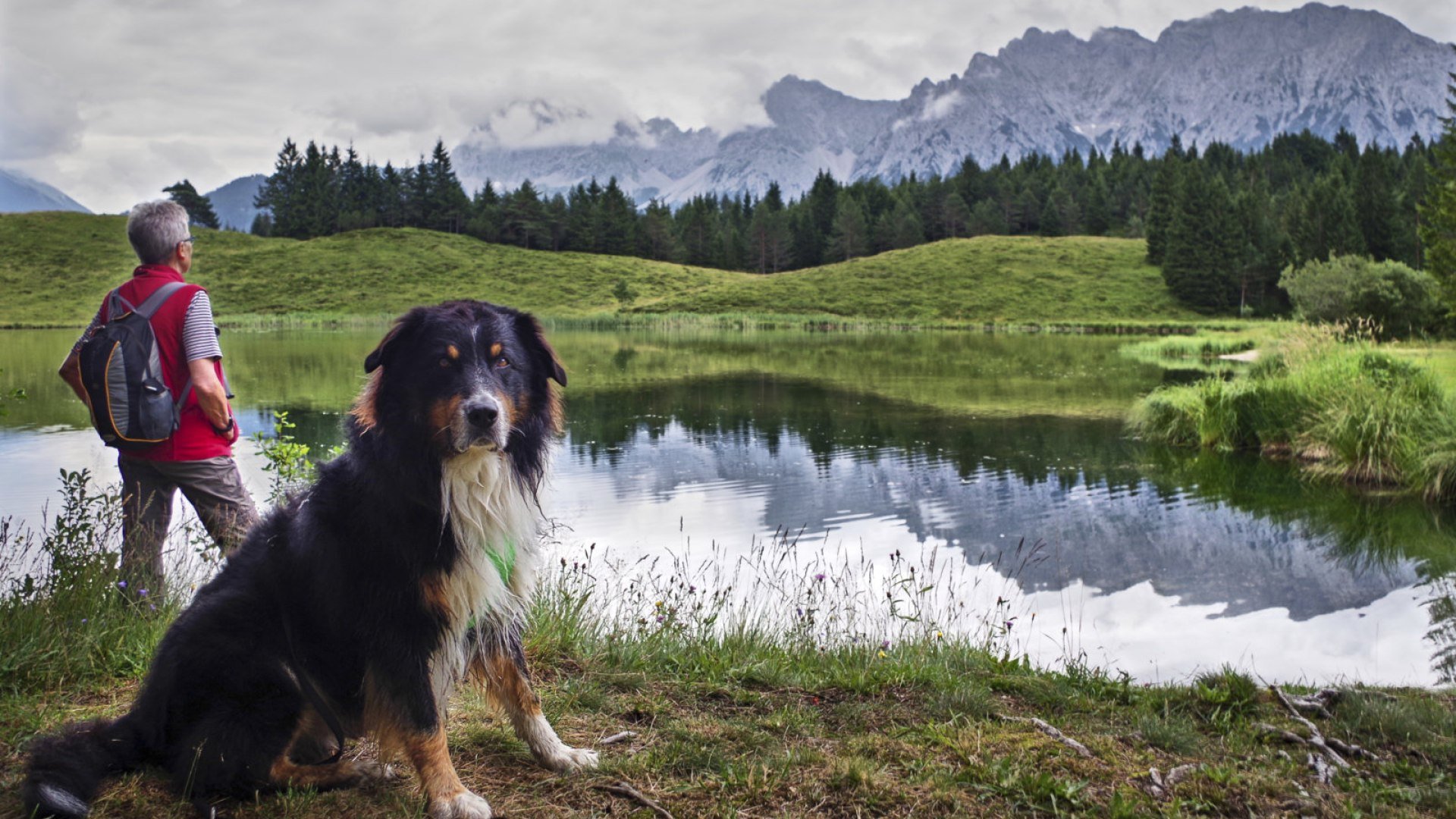 Wandertour in der Alpenwelt Karwendel - Ausblicke am Wildensee, © Andrea Obele | mein-wanderhund.de