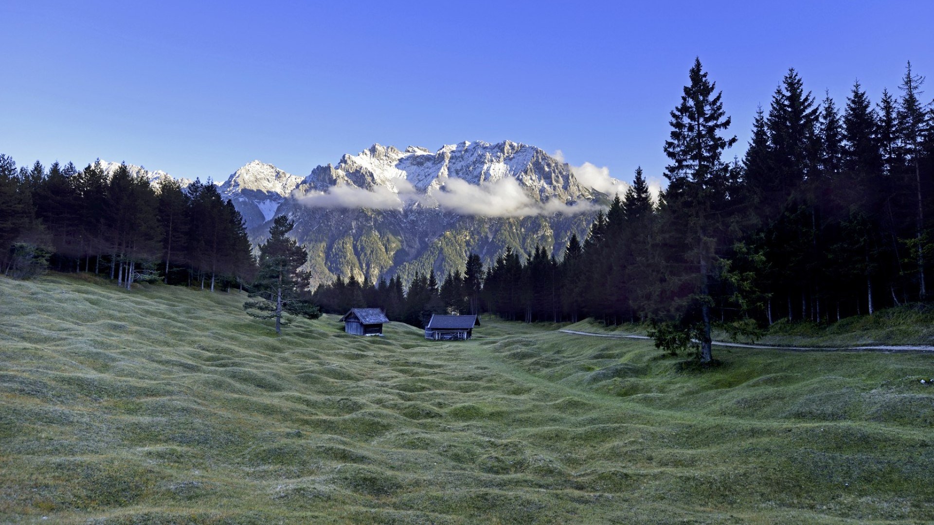 Geschützte Buckelwiesen bei Mittenwald in der Alpenwelt Karwendel, © Alpenwelt Karwendel | Stefan Eisend