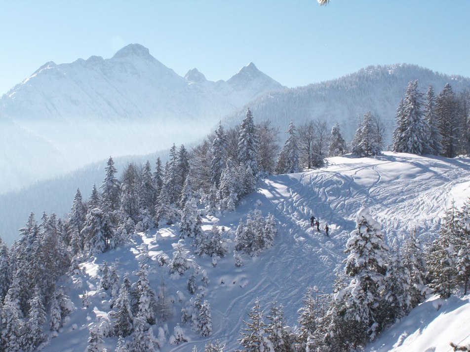 Mit Tourenschi auf den Kranzberggipfel