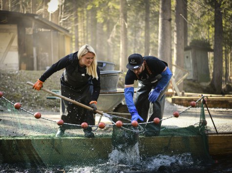 Der Platzfisch. Echtes Fischhandwerk aus Mittenwald in Bayern., © Alpenwelt Karwendel | Platzfisch