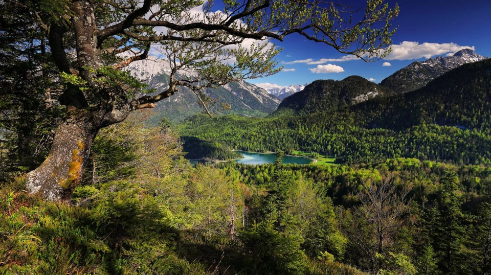 Bilck from Kranzberg hill to Lakew Lautersee near Mittenwald, © Alpenwelt Karwendel | Rudolf Pohmann