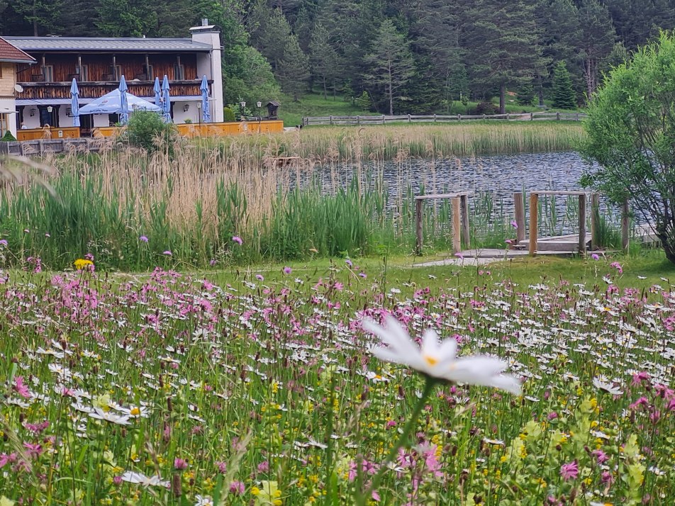 1000002663, © Seehof am Lautersee