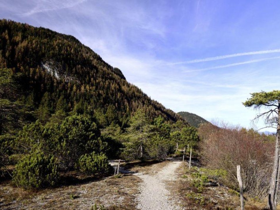 Erkundungstour in den Riedboden, © Alpenwelt Karwendel / Stefan Eisend Erkundungstour in den Riedboden, © Alpenwelt Karwendel / Stefan Eisend