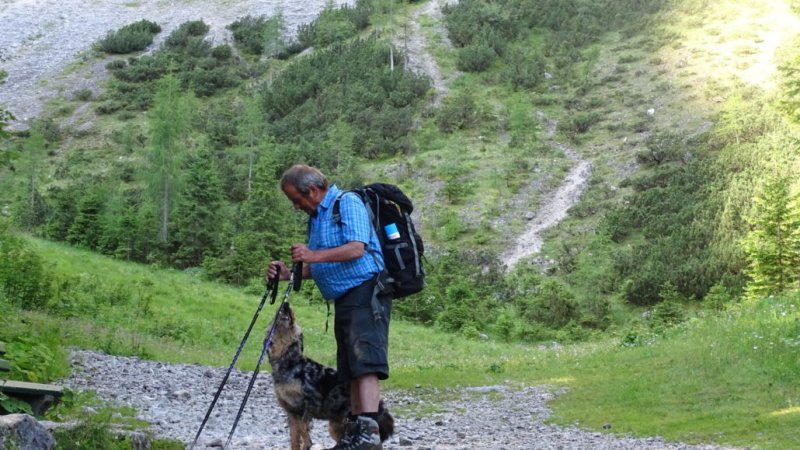 Pepi mit seiner Kollegin Luna, © Alpenwelt Karwendel | Andrea Schmölzer