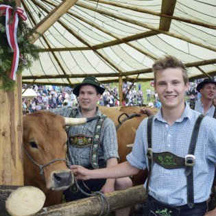 Eindrücke vom Ochsenrennen in Wallgau 2016, © Alpenwelt Karwendel | Florian Neuner