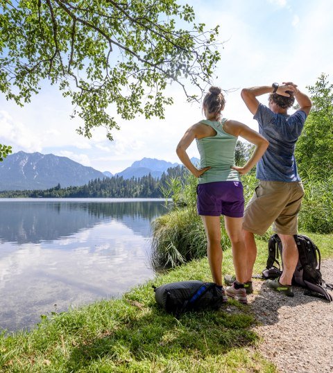 Vielfältige Aussichten bei einer Wanderung um den Barmsee bei Krün, © Alpenwelt Karwendel | Gregor Lengler