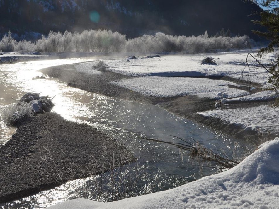 Spaziergang an die Isar, 5 Minuten entfernt