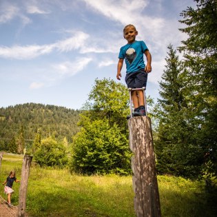 Climbing tree at the nature playground, © Alpenwelt Karwendel | Philipp Gülland