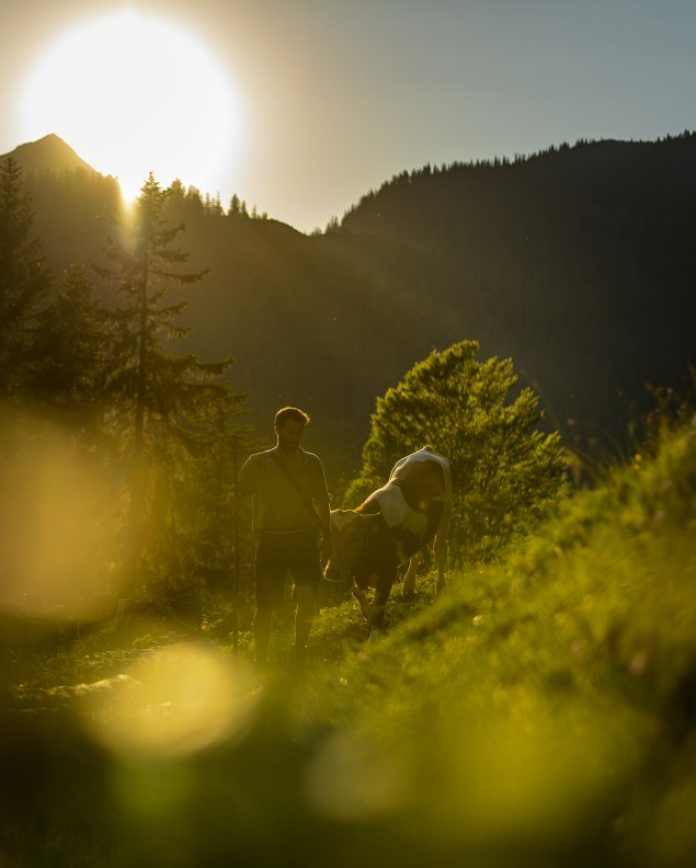 Traditionelle Landwirtschaft und Veihhaltung rund um Mittenwald, Krün und Wallgau. Wo Natur von Herzen kommt., © Alpenwelt Karwendel | Philipp Gülland