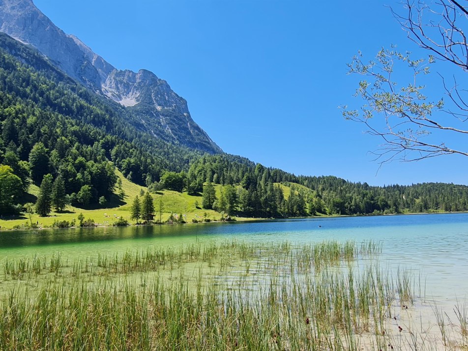 Ferchensee