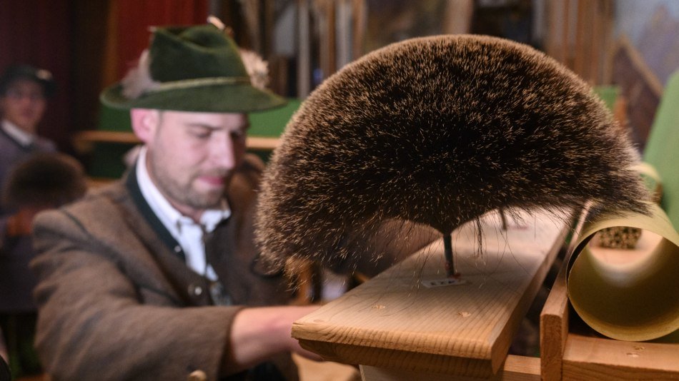 Eindrücke von der Gamsbart-Olympiade 2022 in Mittenwald, © Alpenwelt Karwendel | Philipp Gülland Eindrücke von der Gamsbart-Olympiade 2022 in Mittenwald, © Alpenwelt Karwendel | Philipp Gülland