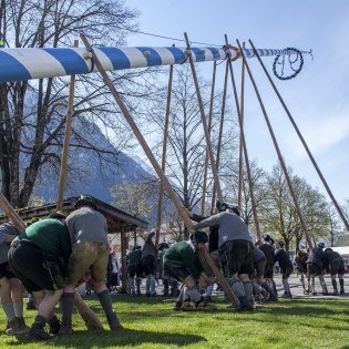 Maibaum aufstellen in Mittenwald - Bayern, © Alpenwelt Karwendel | Hubert Hornsteiner