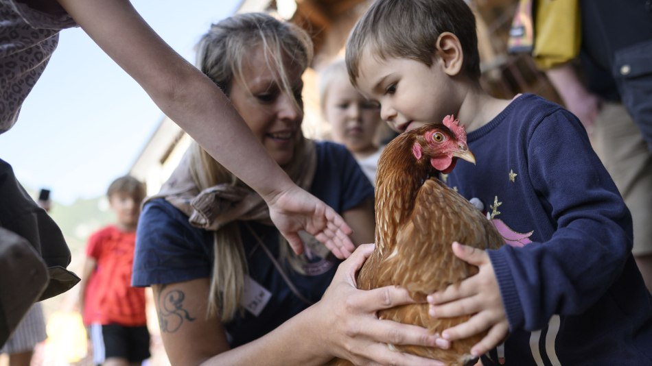 Tierische Erlebnisse beim Kinderprogramm der Alpenwelt Karwendel, © Alpenwelt Karwendel | Philipp Gülland
