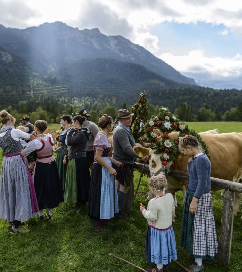 Eine ganz besonderer Termin: Der Almabtrieb in Krün mit Dorffest, Bauernmarkt und großem Rahmenprogramm., © Alpenwelt Karwendel | Zugspitz Region