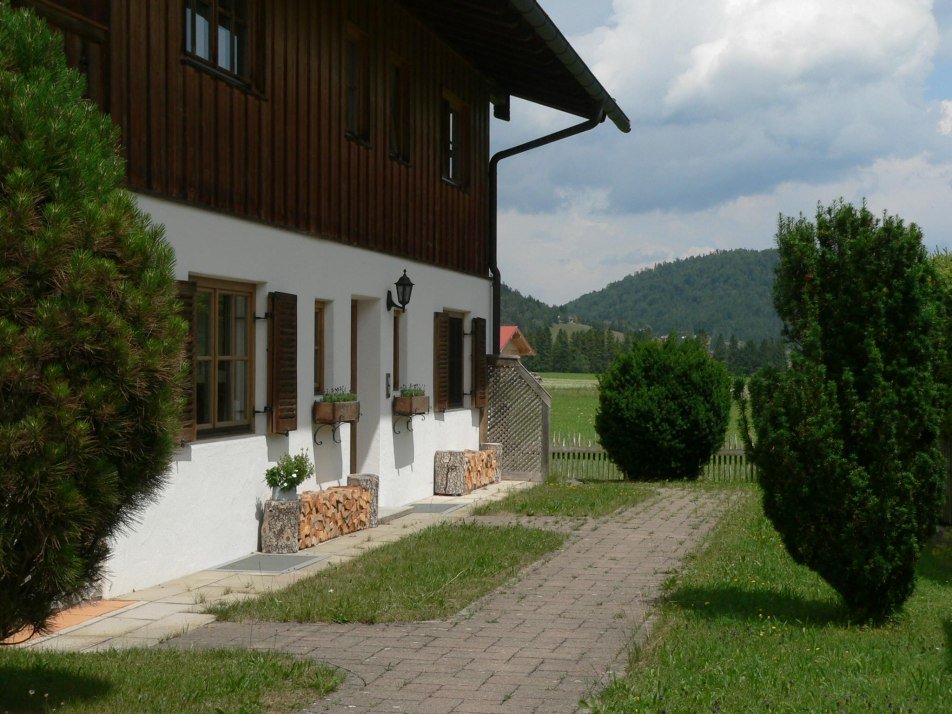 Freier Blick