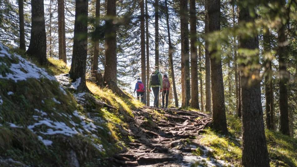 fidelis hundefutter test gekochtes Frische-Men Lamm mit Skartoffeln