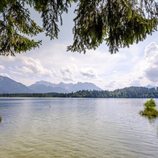 Barmseeufer im Spätsommer mit Bergblick, © Alpenwelt Karwendel | Gregor Lengler