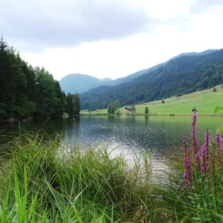 Der Geroldsee, auch Wagenbrüchsee genannt, © Alpenwelt Karwendel | Andrea Schmölzer