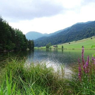 Der Geroldsee, auch Wagenbrüchsee genannt, © Alpenwelt Karwendel | Andrea Schmölzer Der Geroldsee, auch Wagenbrüchsee genannt, © Alpenwelt Karwendel | Andrea Schmölzer
