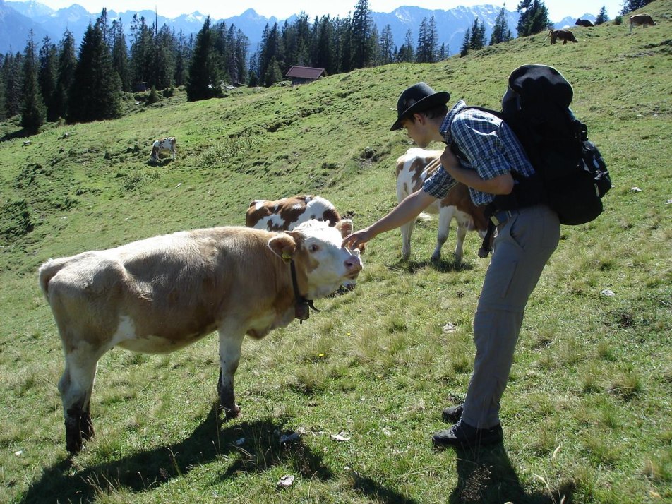 Auf der Alm