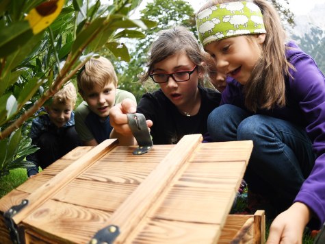 Die gefundene Schatztruhe beim Kinderprogramm "Schatzsuche", © Alpenwelt Karwendel | Angelika Warmuth